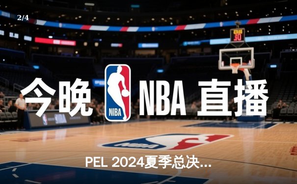 PEL 2024夏季总决赛：NV-XQF逆转夺冠，伞兵单局11淘汰创造纪录 - 2