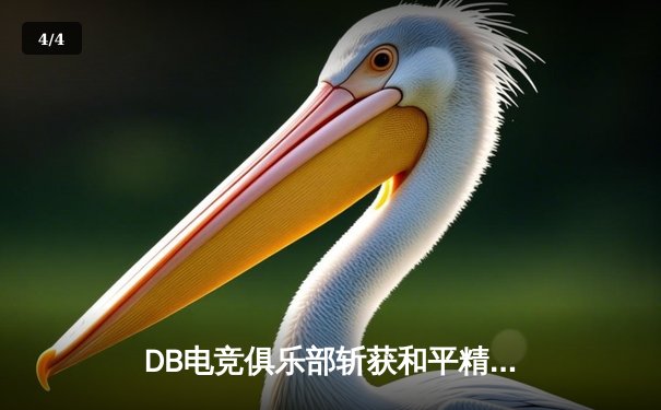 DB电竞俱乐部斩获和平精英巅峰杯冠军，战术运营与团队协作成制胜关键 - 4