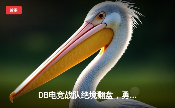 DB电竞战队绝境翻盘，勇夺和平精英全球冠军杯总冠军