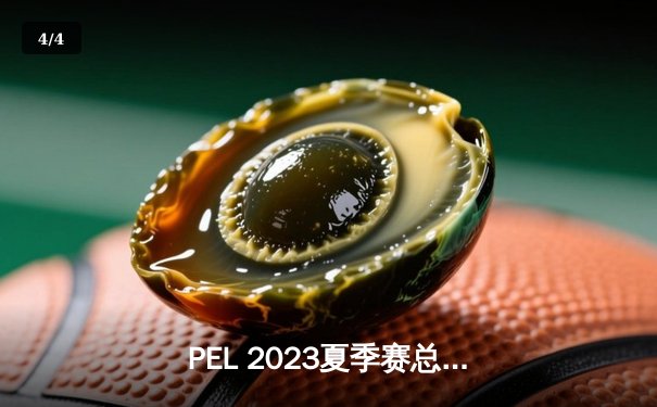 PEL 2023夏季赛总决赛落幕：NV-XQF逆转夺冠，伞兵勇夺FMVP - 4