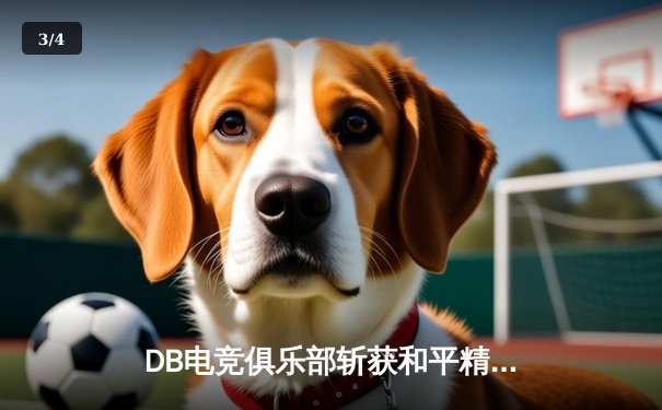 DB电竞俱乐部斩获和平精英巅峰杯冠军，战术指挥成制胜关键 - 3