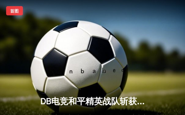 DB电竞和平精英战队斩获PEL夏季赛总冠军，星辰决赛圈1V3封神