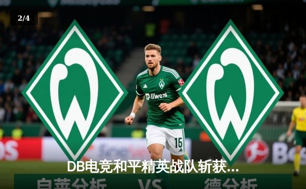 DB电竞和平精英战队斩获PEL夏季赛总冠军，星辰决赛圈1V3封神 - 2